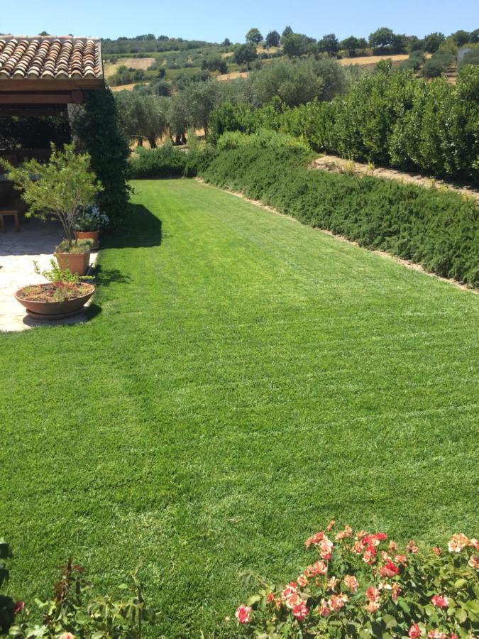 Villa Angiolina, Molise Guglionesi Eksteriør billede